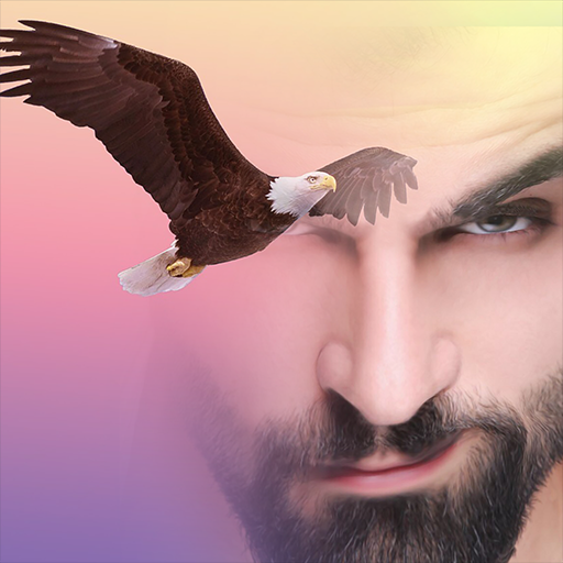 Birds Frame App icon