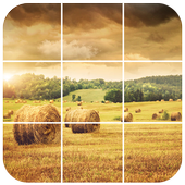 Farm Crops Puzzle icon