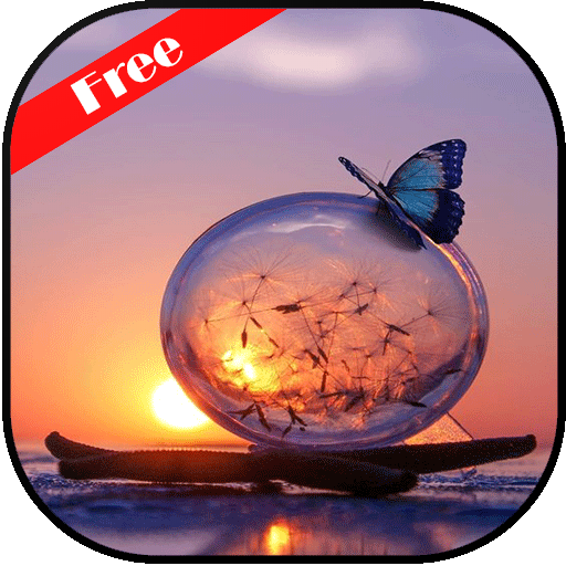 Lensball Wallpaper icon