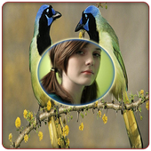 Birds Photo Frames icon