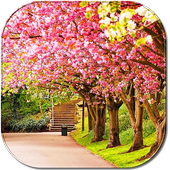 Spring Wallpapers 2018 icon