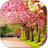 Spring Wallpapers 2018 on 9Apps