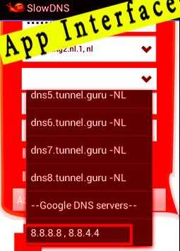 Guide for VPN Over DNS Tunnel : SlowDNS screenshot 2