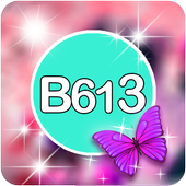 b613 selfie - camera editor icon