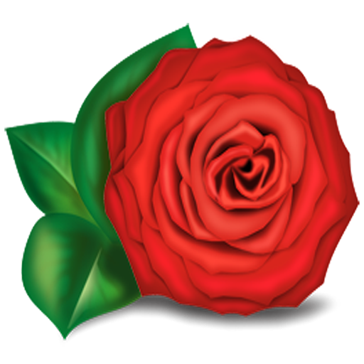 Happy Rose Day Wishes icon