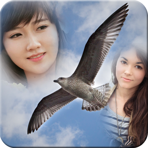 Birds Mulit Photo Frame icon
