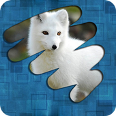 Scratch and guess the picture icon