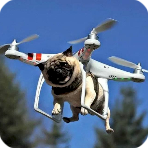 ikon Free funny videos for whatsapp