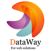 Data Way icon