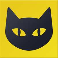 Who viewed my profile