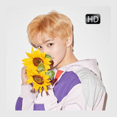 Mark NCT Wallpapers icon