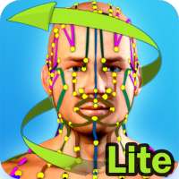 Easy Acupuncture 3D -LITE on 9Apps