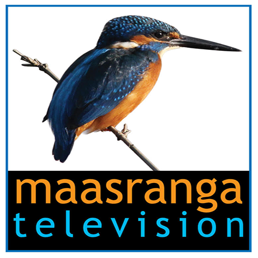 maasranga television icon