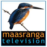 maasranga television