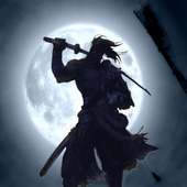 Shadow Shogun