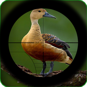Extreme Jungle Birds Hunting icon
