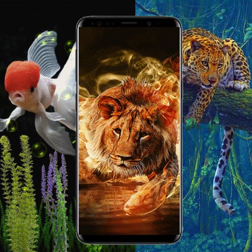 Video Animal Live Wallpapers icon