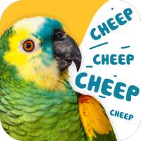 Free animal sounds: real animal noises & pictures