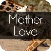 Motherlove on 9Apps