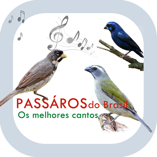 Pássaros do Brasil - Os melhores cantos. icon