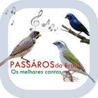 Pássaros do Brasil - Os melhores cantos. on 9Apps