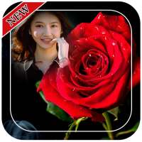 Red Rose Photo Frames