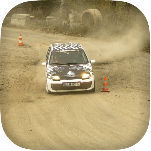 Rally Car Racing Simulator 3D icon