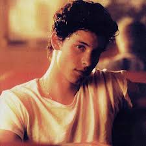 Shawn Mendes Without internet icon