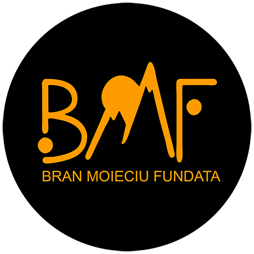 Visit Bran - Travel App icon