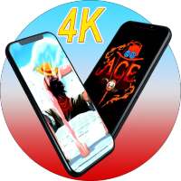 One Wallpaper Piece HD/4k