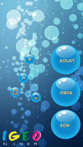 BrainPair Hafıza Oyunu screenshot 1