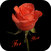 Red Rose Live Wallpaper icon