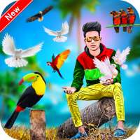 Bird Photo Editor