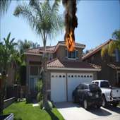 Fire Simulations on 9Apps