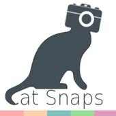 Cat Snaps on 9Apps