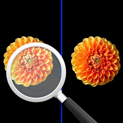 Find What Different In Picture? icon