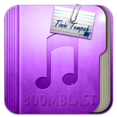 Tinie Tempah Girls Like Songs icon