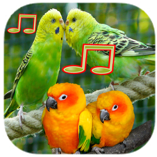 Birds Sounds and Ringtone icon