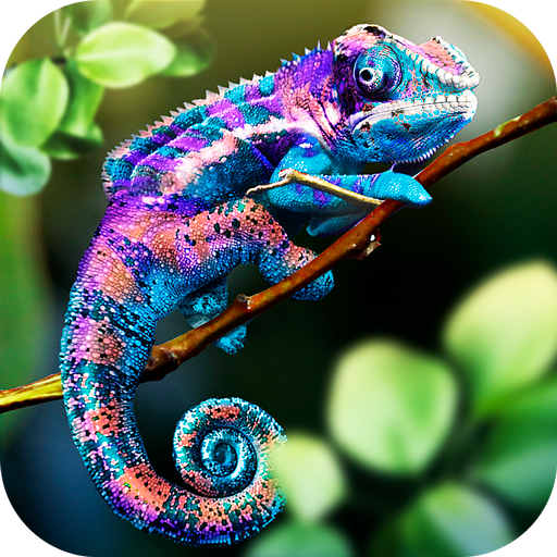 Chameleon Wild Life Sim 3D icon