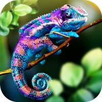 Chameleon Wild Life Sim 3D