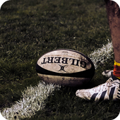 Rugby jumper icon