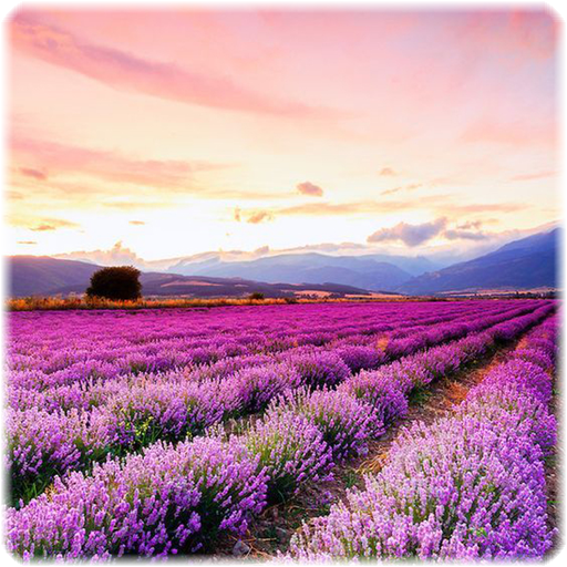 Free Jigsaw Puzzles icon