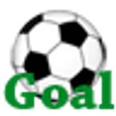 World Cup 2010 Goal Scream