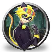 Miraculous Super Black Cat