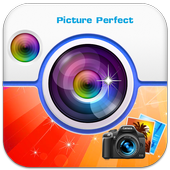 Picture Perfect icon