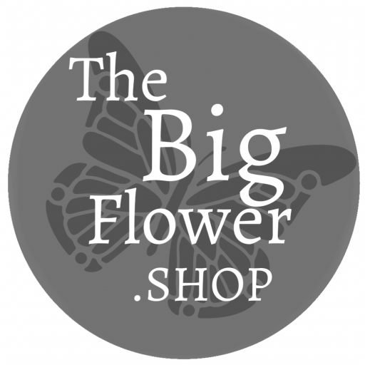 Big Flower Shop icon