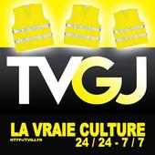 TVGJ