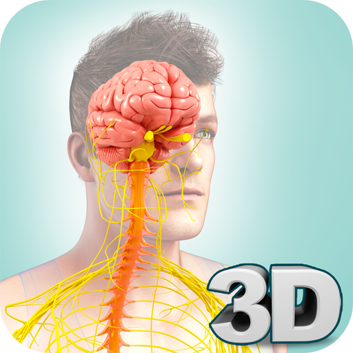 Nervous System Anatomy Pro. icon
