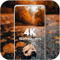 Best HD Wallpapers & Backgrounds on 9Apps