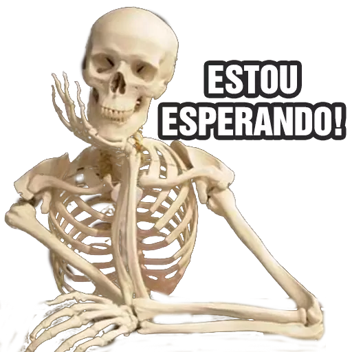 Memes com frases para WhatsApp WAStickersapps 2020 icon